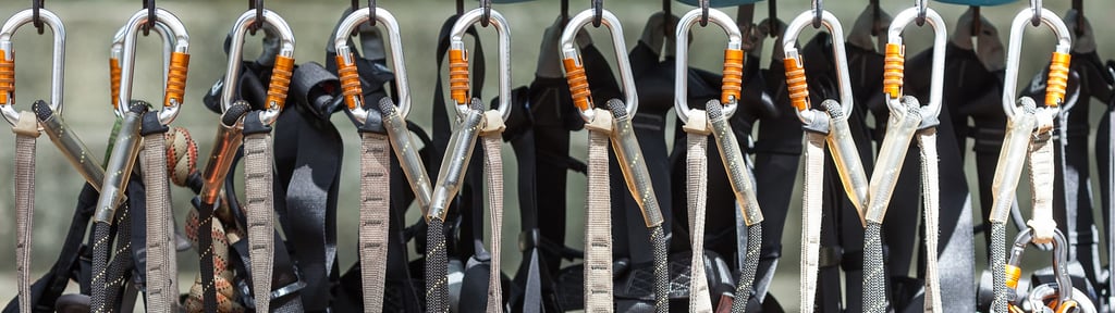 Harnesses