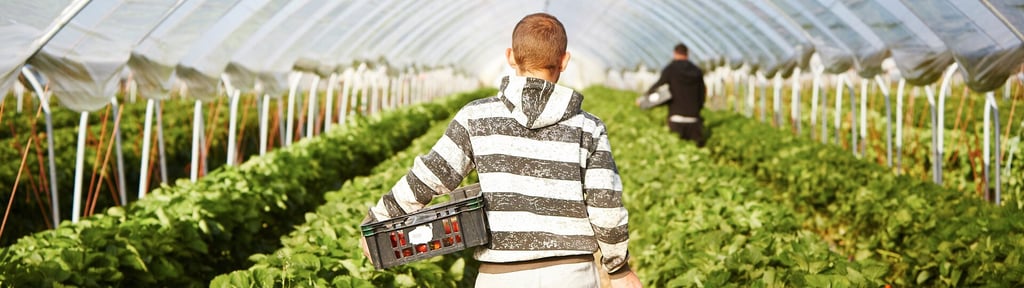 worker in field image