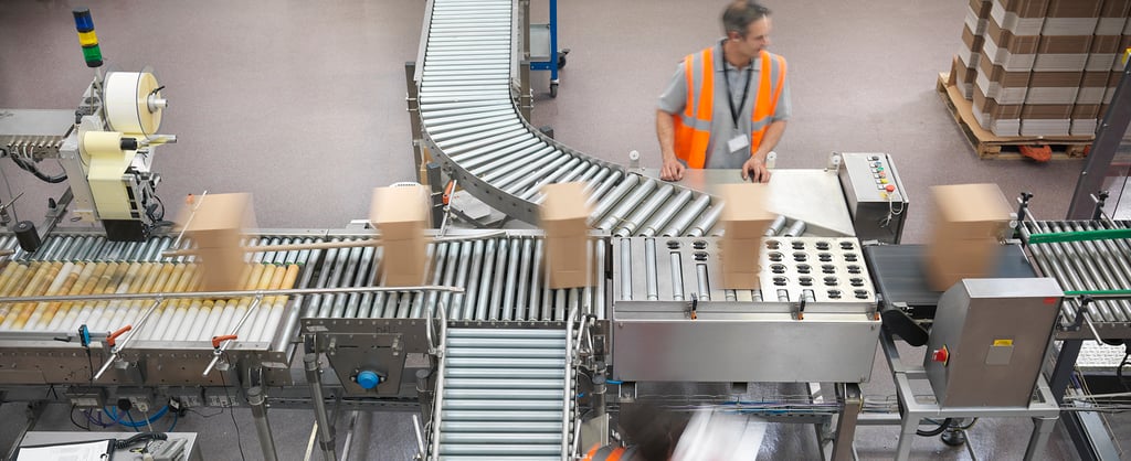 Person working in a factory