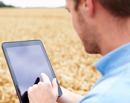 Person using tablet in front of a field