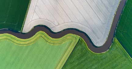 Irrigated fields