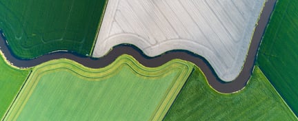 Irrigated fields