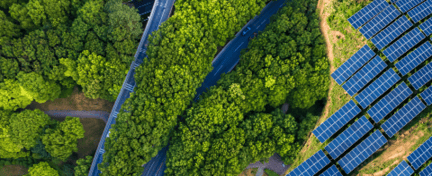 Trees and solar panels