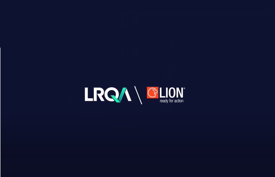 Lion case study image