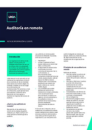 Auditoria en Remoto