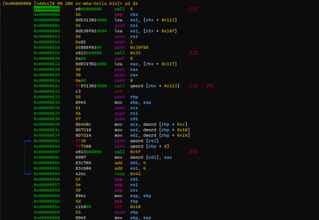 Examining the shellcode disassembly using rizin.