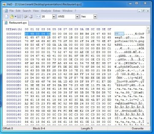 Figure 5 - gss file magic numbers reveal it is a ZIP archive.